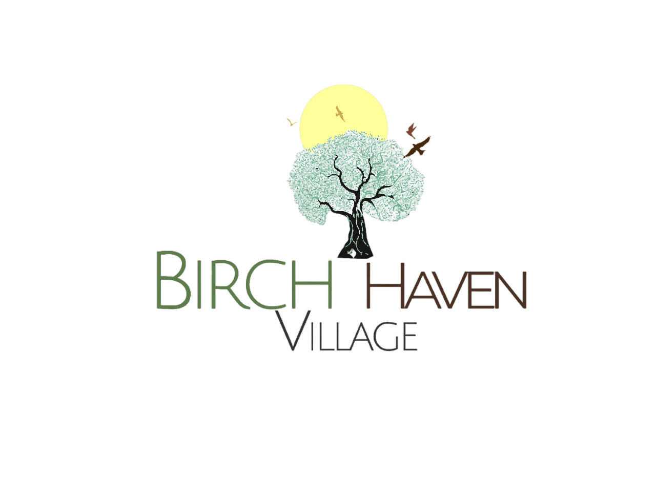 Birch Haven_4-PhotoRoom.png-PhotoRoom